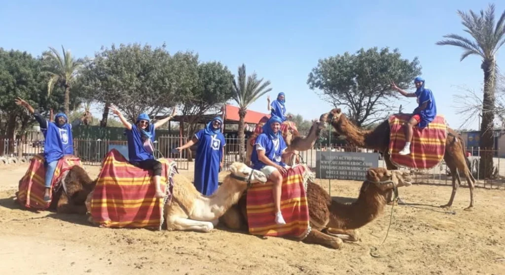 balade dromadaire marrakech