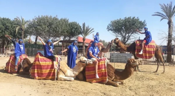 balade dromadaire marrakech