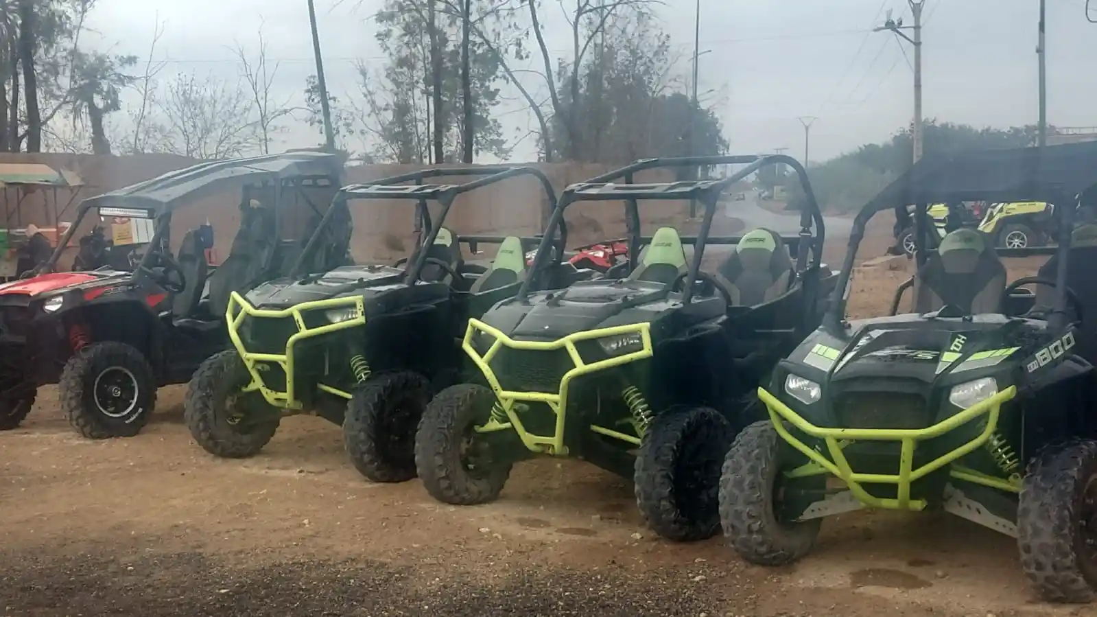 Buggy Tour