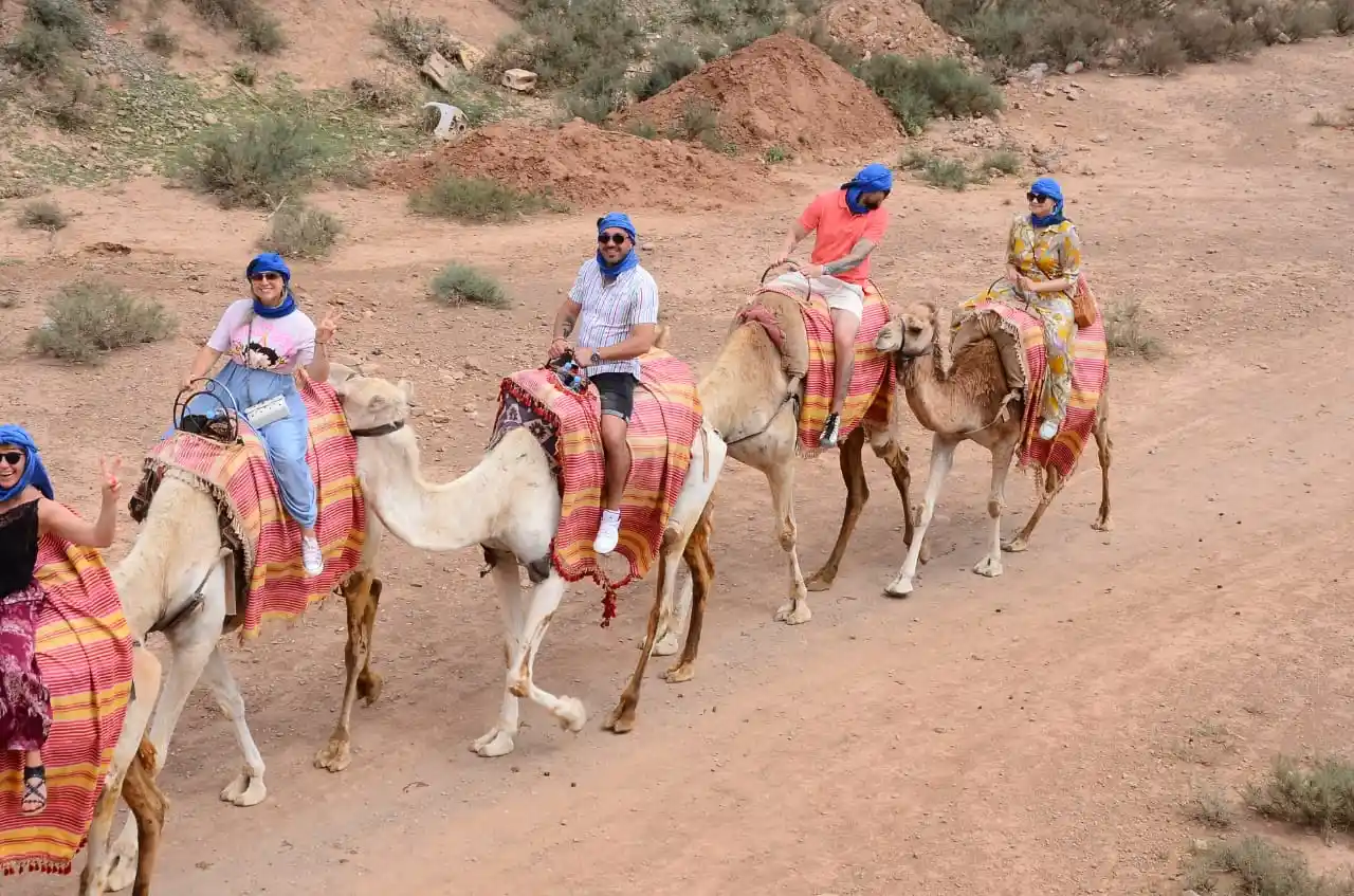 Camel Ride Palmeraie