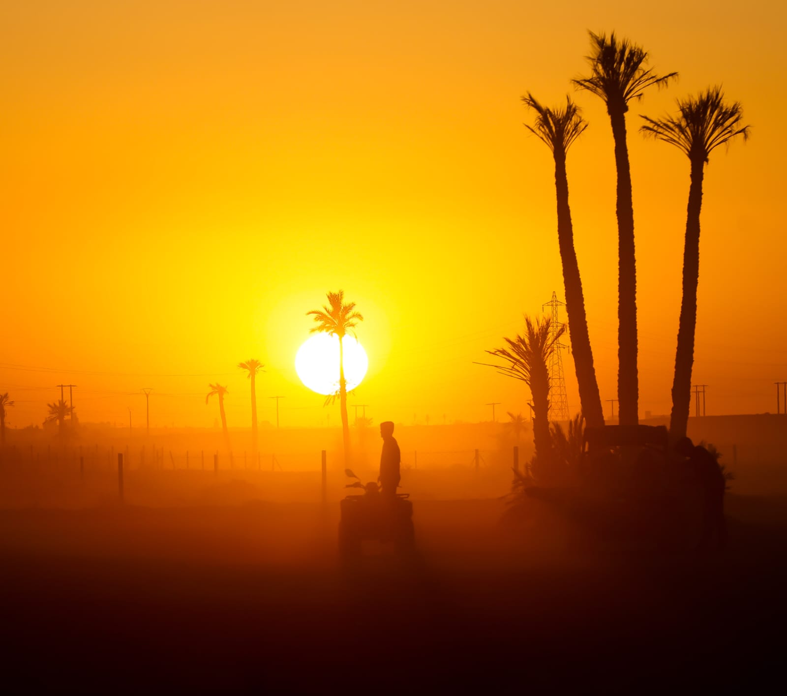 Desert sunset buggy
