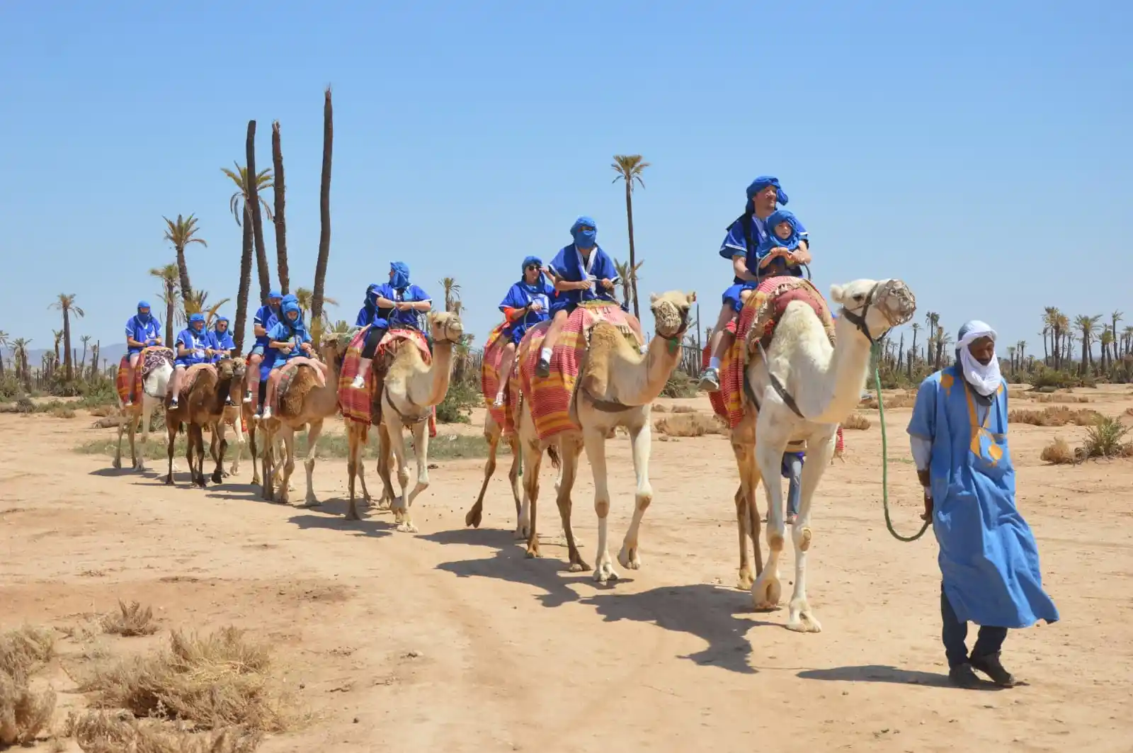 Camel Ride Marrakech