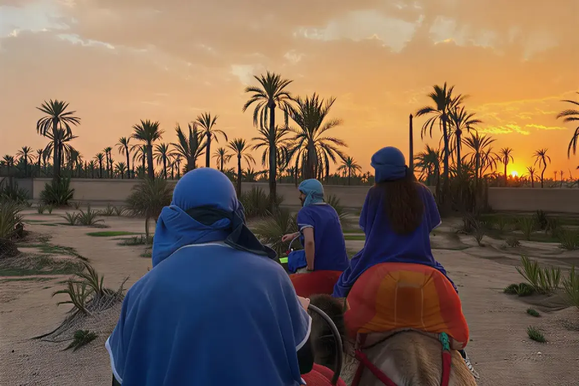 Camel ride Marrakech at sunset