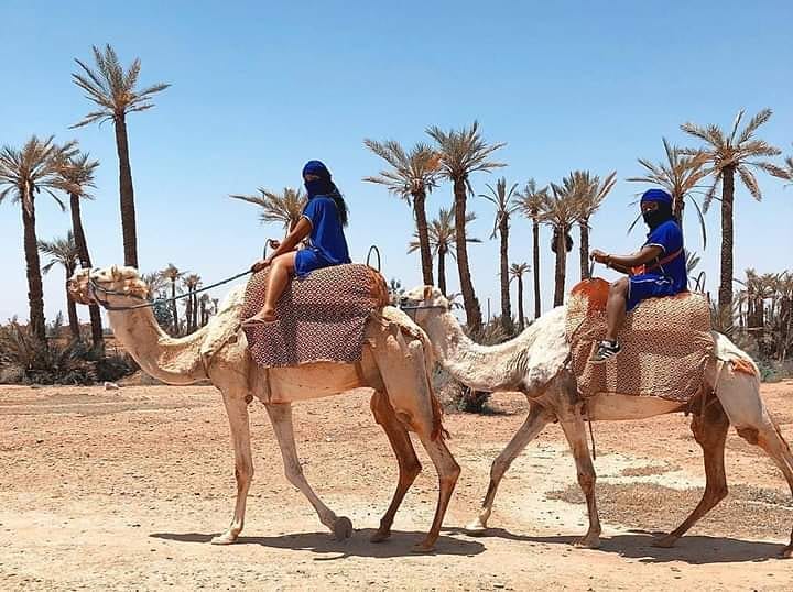 Palmeraie camel ride