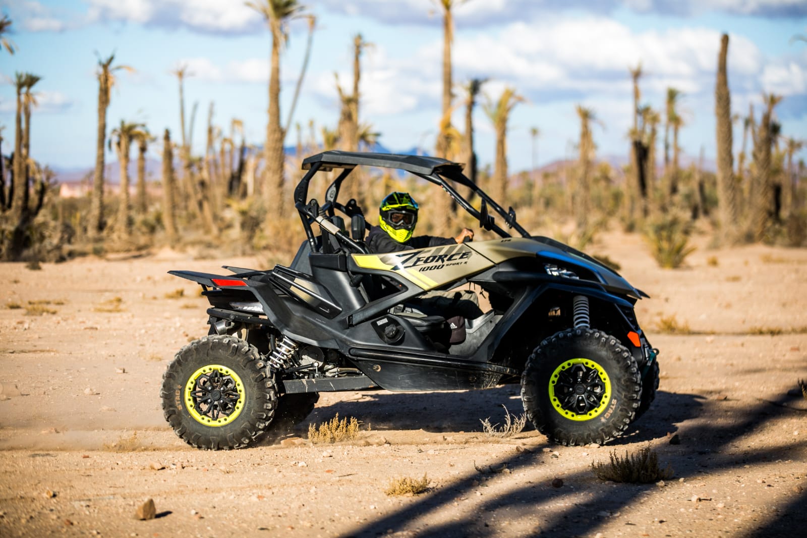 Palmeraie buggy tour